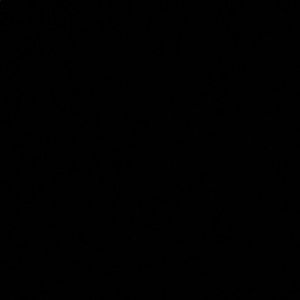 Meet your Posher, Ronaldo